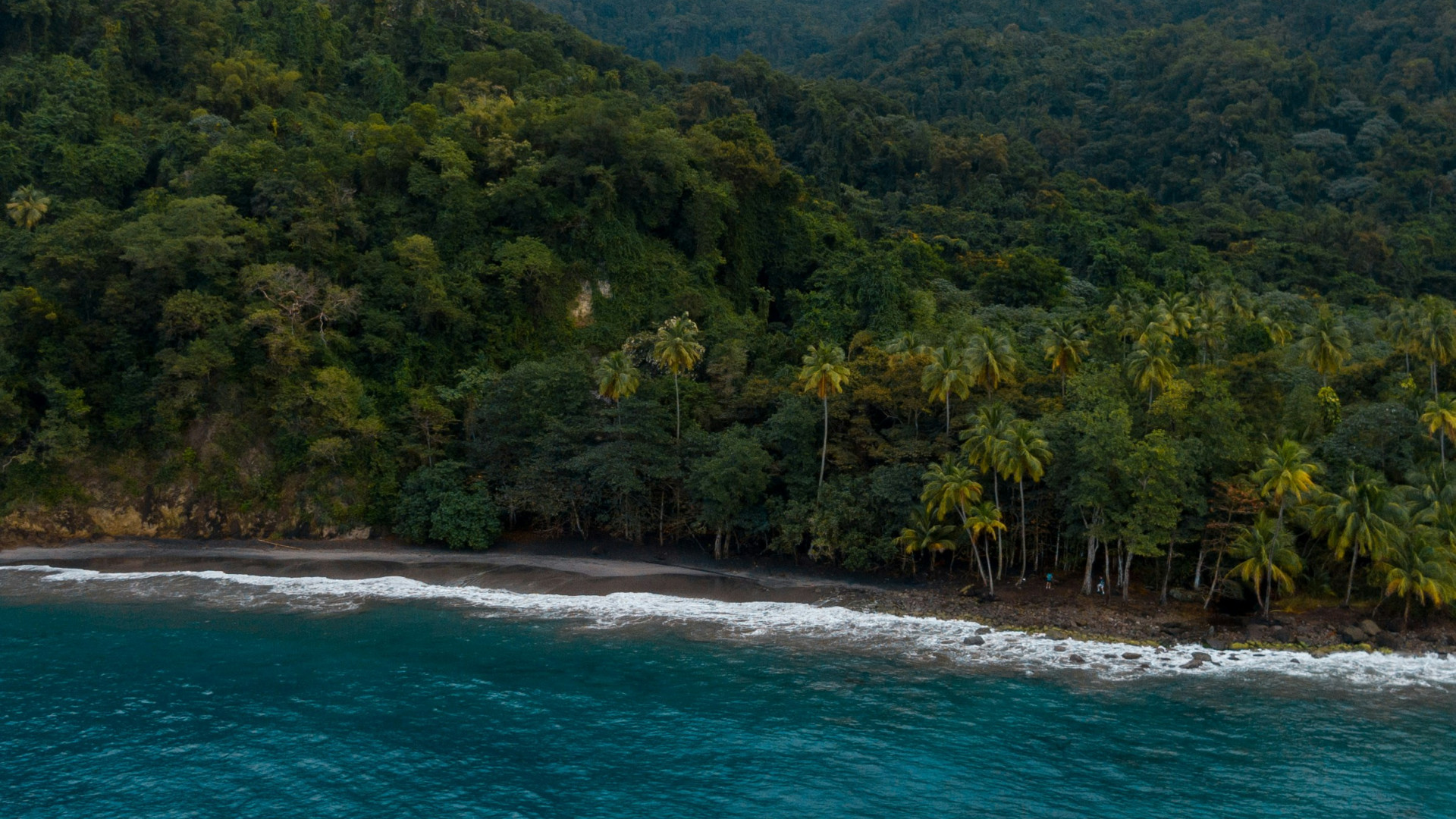 Les 3 choses à savoir avant de louer une voiture en Martinique